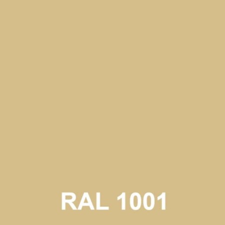 RAL 1001 NOCCIOLA 400 ml