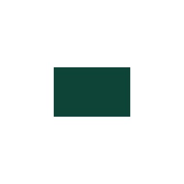 RAL 6005 SPRAY VERDE MUSCHIO OPACO