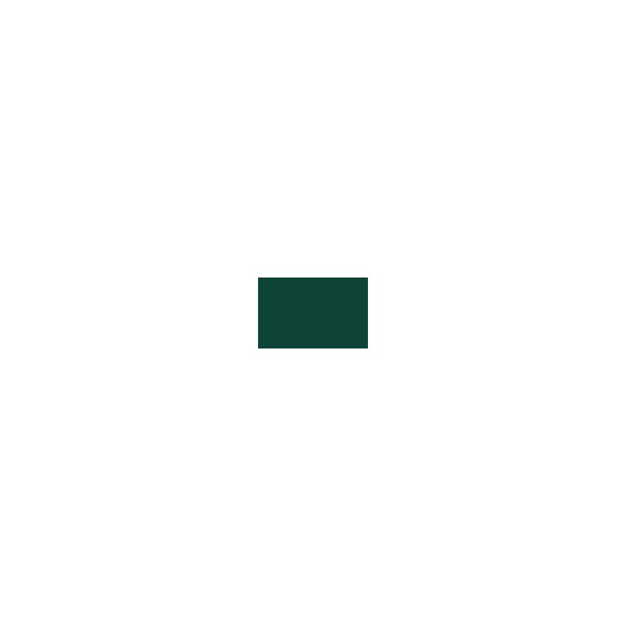 RAL 6005 SPRAY VERDE MUSCHIO OPACO RAL 6005 SPRAY VERDE MUSCHIO OPACO