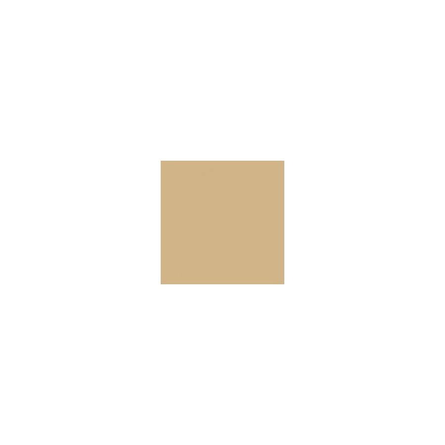 RAL 1001 SPRAY NOCCIOLA OPACO RAL 1001 SPRAY NOCCIOLA OPACO