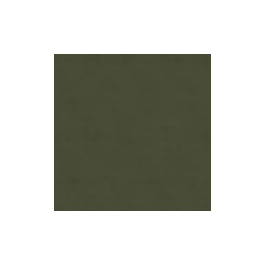 RAL 6003 SPRAY VERDE OLIVA OPACO