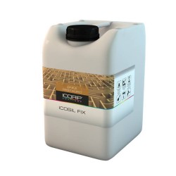 ICOSIL FIX INCOLORE LT20