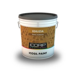 ICOSIL PAINT BASE T/D LT13,13